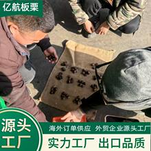 �Ї����� ȫ�����40-60/30-40/40-50KGҎ��