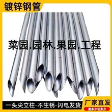 �Ӻ���^�����F�z�W���ڗU����ţ�ھW��ֱ��䓹ܷ��ܿ���������U