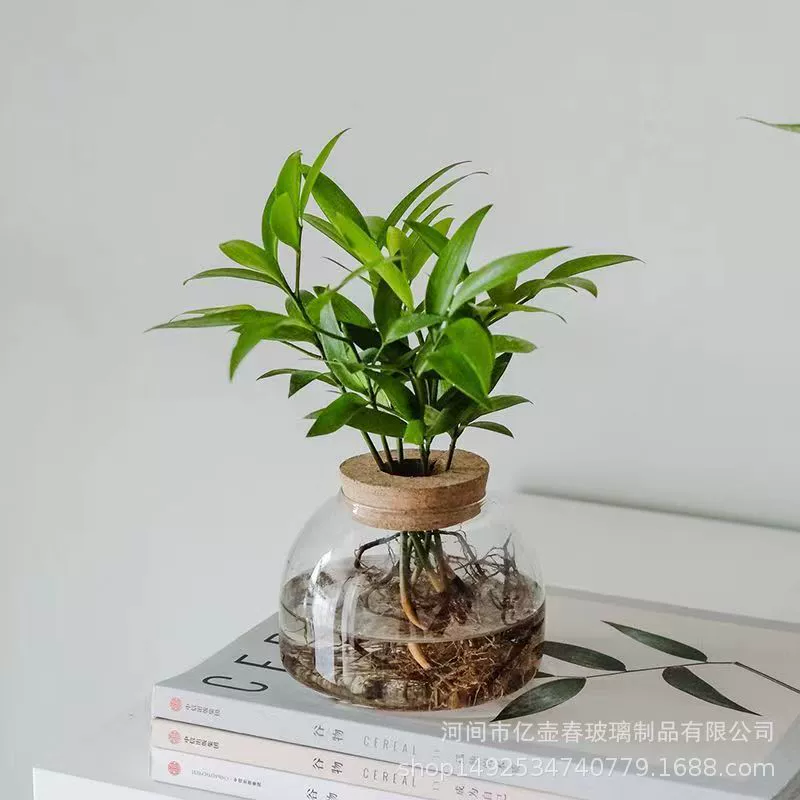 Новый водный Детский Стиль гидропонная бутылка для растений офис маленький горшок ленивый человек завод настольные украшения экологическая бутылка