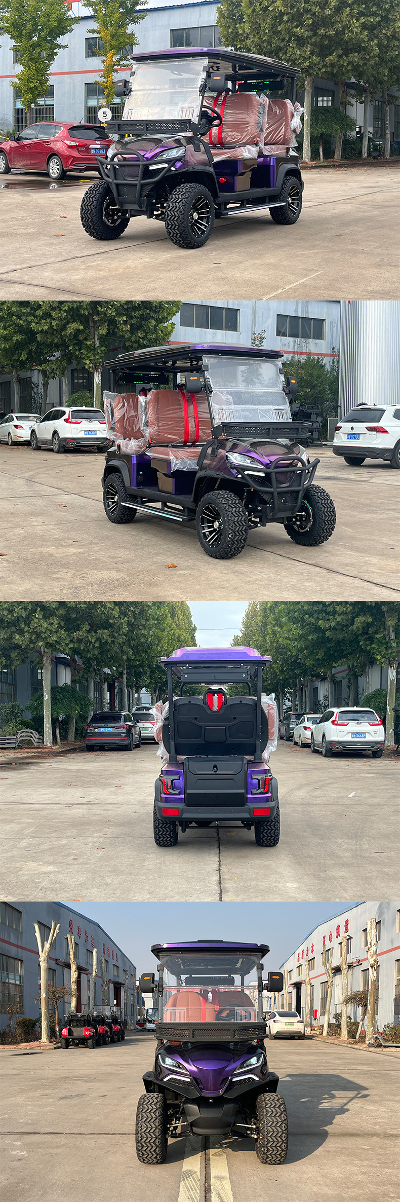 Electric Golf Carts, Hotel and Factory Campus Reception Vehicles, Tourist Vehicles, Scenic Area Patrol Vehicles, Golf Carts with Canopy