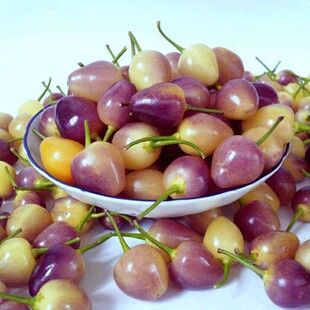 �V���خa�Fժ�߲�������ʽ����r�߲�����ݽ����\���߲ʽ����l