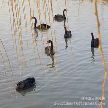 �^�pˮ���^�p�����w�����Z�����Z�����������u��������Zһ���r��