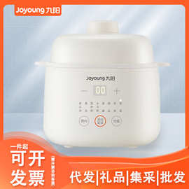 九.阳家用1L容量白瓷隔水炖燕窝可保温防烫提手电炖锅DG10G-GD103