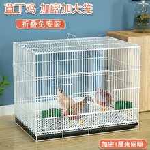 鸡笼子芦丁鸡笼鹌鹑笼斑鸠家养繁殖养殖鸡笼加密雏鸡小鸭鸟垒德株