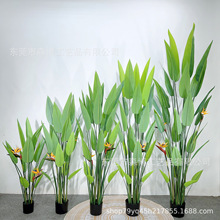 ߶BGֲ҃QmֲԷ٘쾰pb[