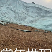 发酵腐熟稻壳盆栽疏松透气改良植物花卉专通用月季营养配土稻壳炭