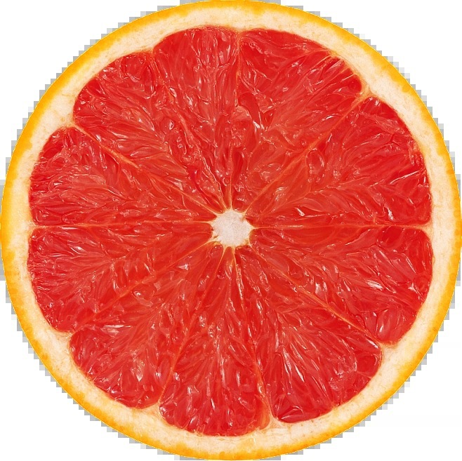 말린 자몽 500g [프로모션]