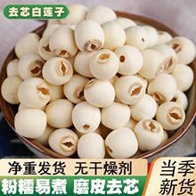 25年新货净重发货湘潭糯莲子无芯去皮无熏莲子百合食用煮粥批发