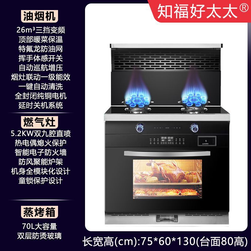 파이프 천연가스 [공장 직배송, 집까지 배송] - 750 찜, 베이킹, 일체형 [업그레이드된 9구 챔버 맹렬화로]