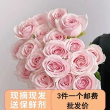 õ廨rѩɽֱlrrлƿֲq