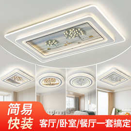 水晶客厅灯2025年新款房间灯具现代简约卧室灯l装饰画吸顶灯轻奢
