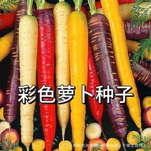 ��ʺ��}���N����ɫ�tƤ�t��ˮ���}���߮a�ļ��̨�����߲˷N��