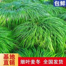 ���~������������ͥԺ�G���ļ��������A���ͺ�������~����������