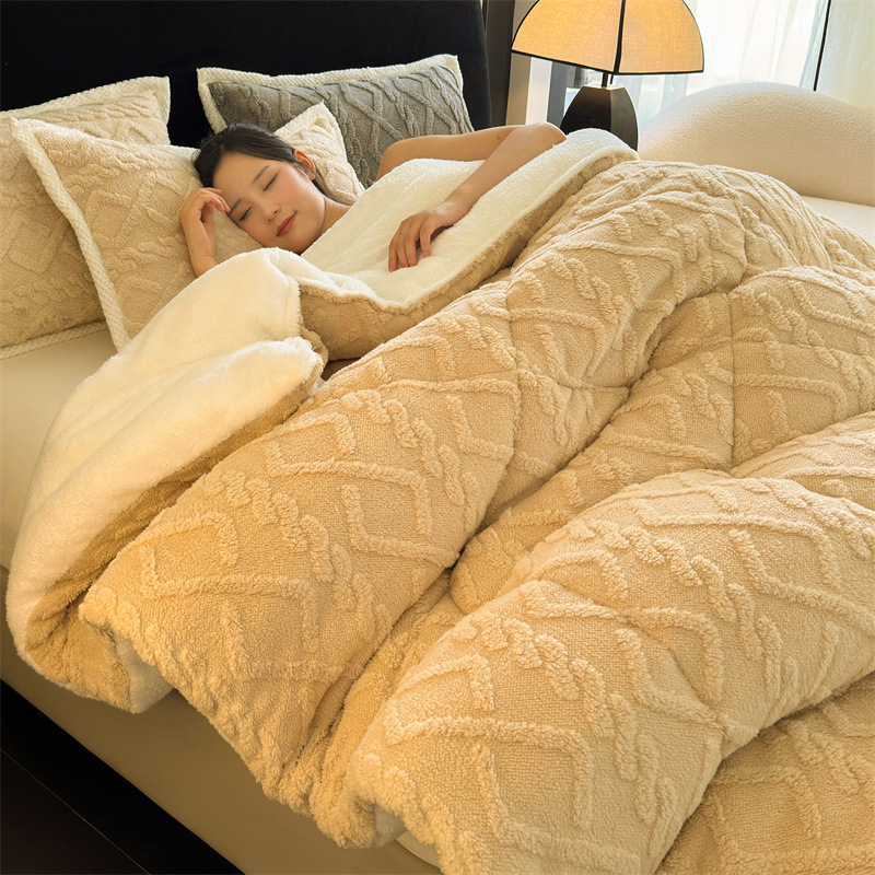 纯色塔芙绒被子冬季厚款双人冬被加厚保暖单人被芯冬天秋冬被南通