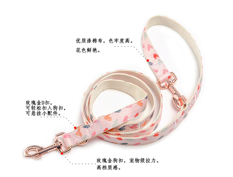 跨境新款宠物用品金属插扣遛狗套装情人节可刻字涤纶猫咪狗狗项圈详情10