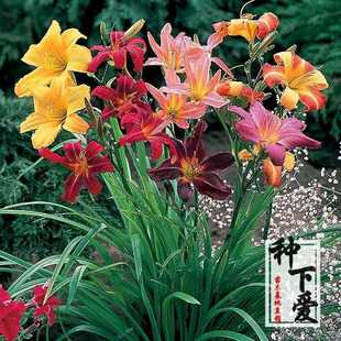 ��Ƥ��������ͥԺ��ݻ��ڻ����ͺ��������޸��L���͟�ɺ����B