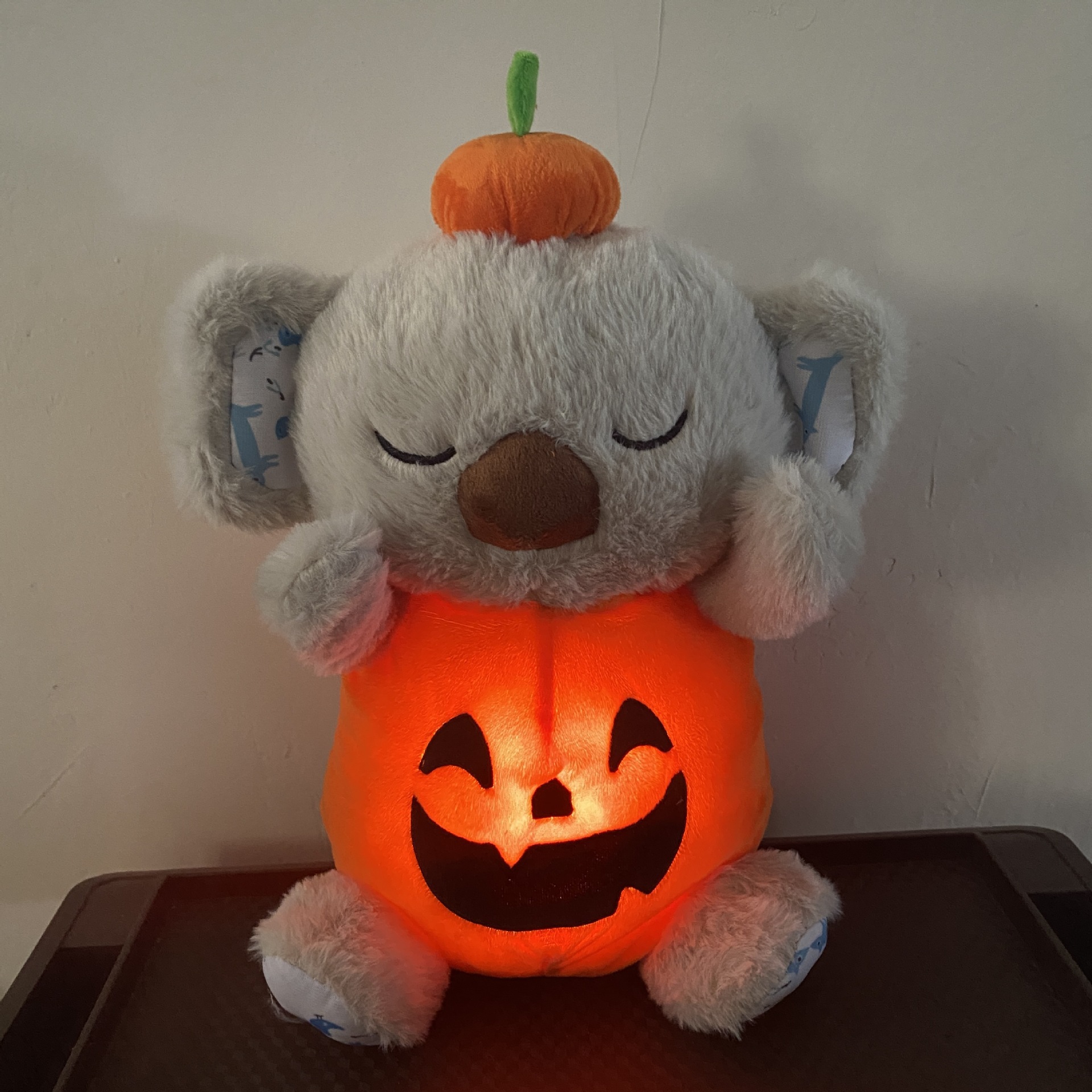 一键上货_20240912112529