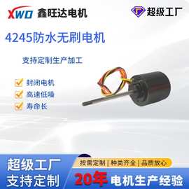 4245防水无刷电机水下机器人 推进器 水中无人机仿生鱼电机