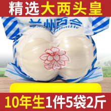 十年生兰州新鲜百合5g大两头皇食用甜百合新挖百合农家特级干