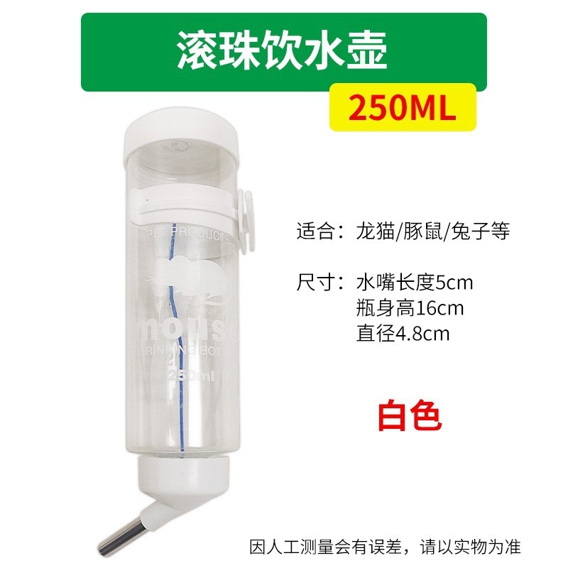 Hámster de conejillo de indias bebiendo agua de oso de oro