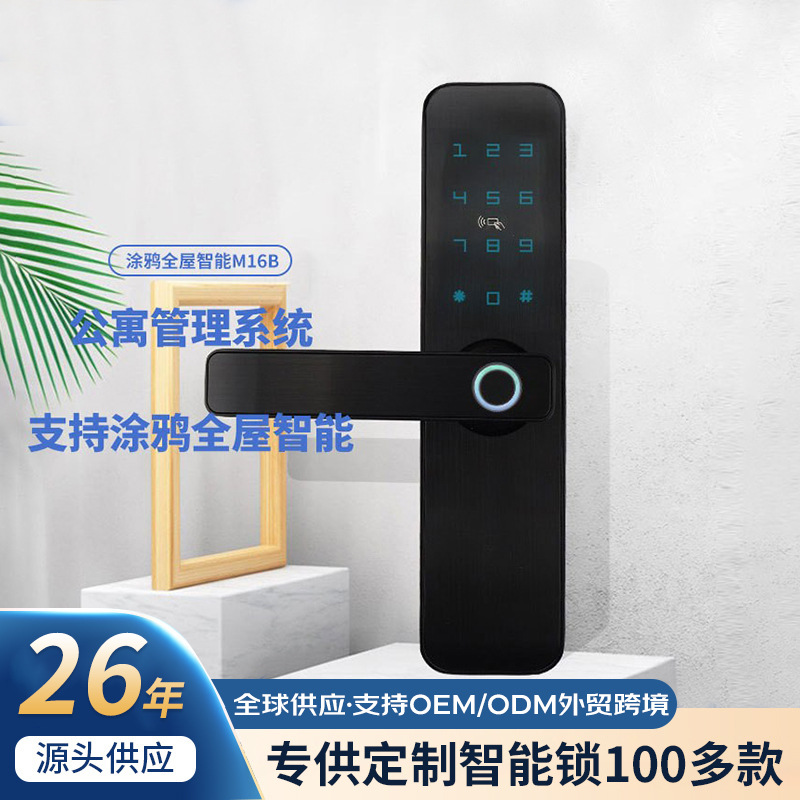 博克指纹锁涂鸦蓝牙出租屋房东锁公寓远程控制智能锁民宿刷卡M16B