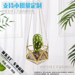 �Ғ����՚��P��ֲ��׺η��m�����ֻ��������~߅��ˇƷ������l