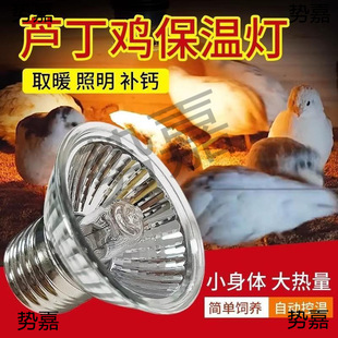 ��늱��ؿ������JȡůС�u�Bֳ�����W�^���u����B�䱣ů���r
