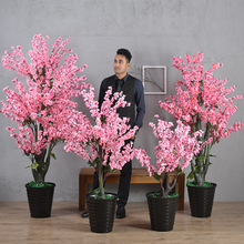 һֲ҃ȻҘؾGֲ[͏dbϼ辰