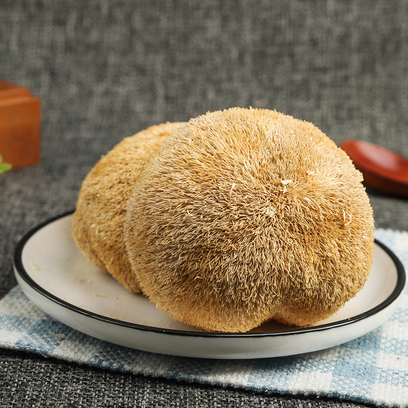 Wan Chuan Xian Edible Fungus Dry Goods - Gutian Specialty Hericium Edulis - Stomach-Nourishing Soup Material Fungus Manufacturer for Distribution and Wholesale