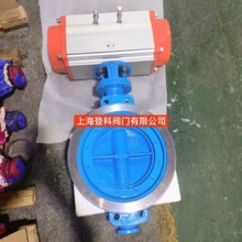 D673H-10C DN300�������� ˫���õ����ÿ�ѡ �����Լ����ֵ���