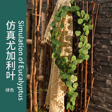 �羳���l�����ȼ����~�ٗl������Y�b����A�~�ڒ��p�@�Gֲ����