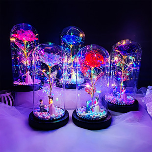 ���նY����Ů���Ų�õ�廨�������ְl��[�����������˹�������