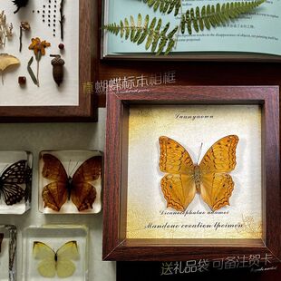 ������˱���� ľ�|�b�DIY�͹����[̨�Ҿ��b����նY��YƷ