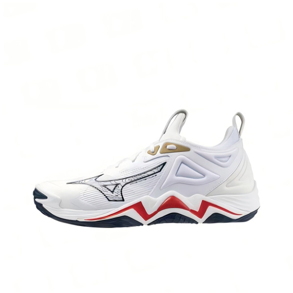 Mizuno
