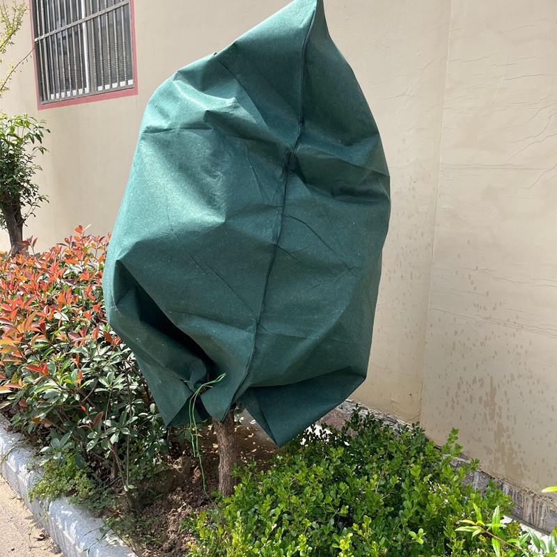 O1CN01PRqKAj2FTYEiwhRbC_!!3088