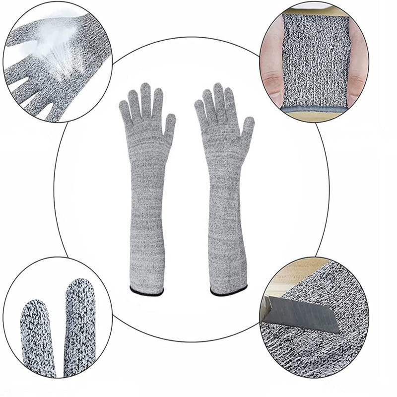 71xOIvT5-3L._AC_SL1500_