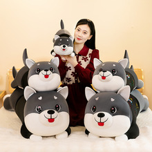 �¿��ʿ��ë�q��߹�ʿ���L�l������̖��������A�ȴ���˯�X����