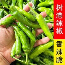 ��������������ļ����콷����С�׽��������̨�����߲���