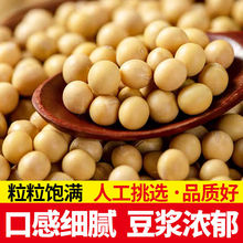 黄豆5斤笨新鲜大豆非转基因大豆子豆浆原料营养早餐1斤网红现货