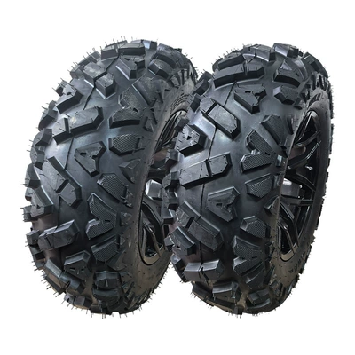 tires and rims, Yolsuzluq şinləri