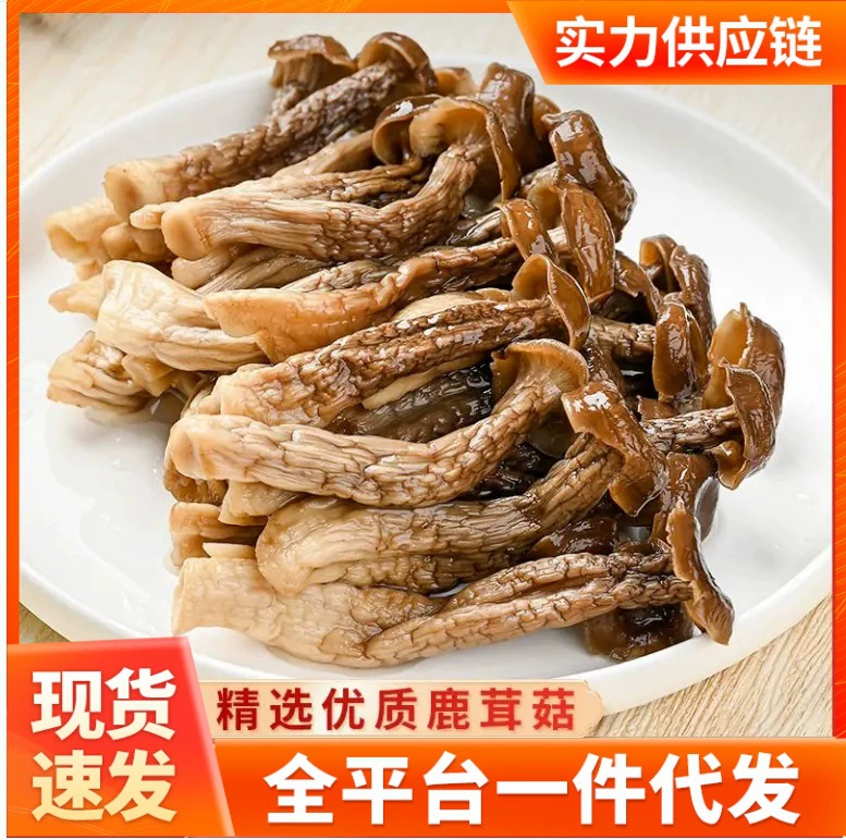 Новые продукты Pleurotus eryngii Сушеный гриб Pleurotus гриб оптом гриб шиитаке