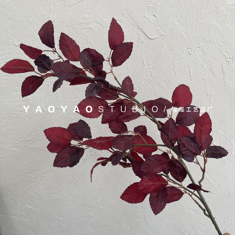 微信图片_20210507202500