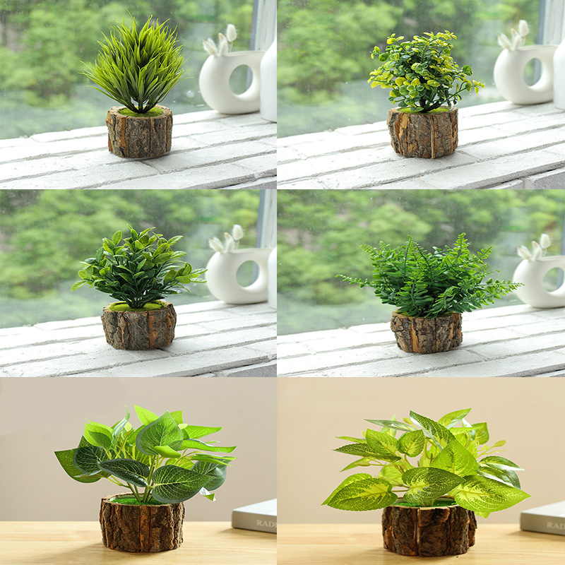 Set de plantas verdes en maceta de 6 piezas P☆