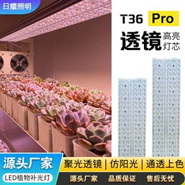 植物生长灯;支架;LED硬灯条