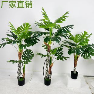 ���ʹ��~��������������٘�Gֲ�������~�ٻ����҃��쾰�b[��