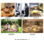 宏昌塑料 5501-组合餐具_11