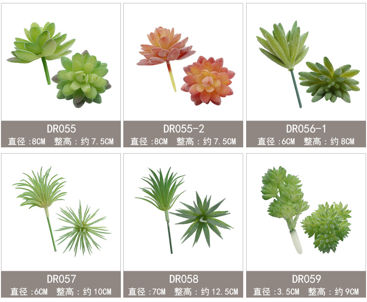 新单枝模板47-59_06