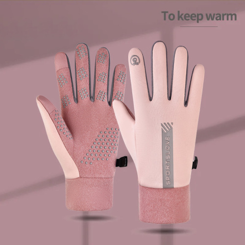 Cross-border autumn and winter warm gloves for cycling, suitable for men and women, warm, padded, thick, cycling, driving, anti-slip, touch screen, waterproof, wholesale