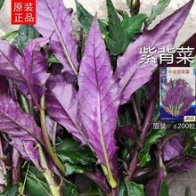 【补血菜】_补血菜品牌/图片/价格_补血菜批发_阿里巴巴