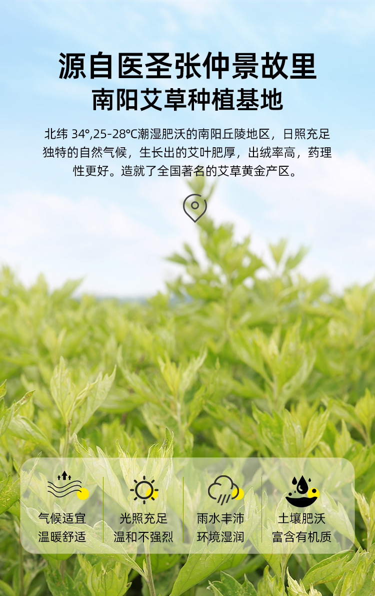 Moxa Sticks Ai Zhu Small Moxibustion Cones for Eye and Body Warming Therapy key features